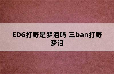 EDG打野是梦泪吗 三ban打野梦泪